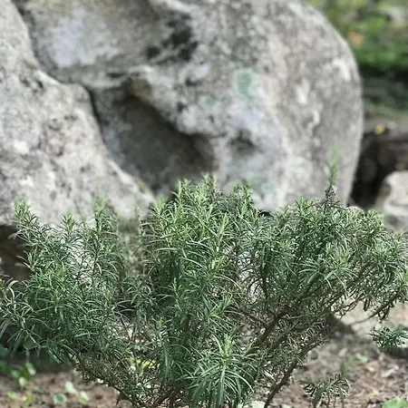 Semesterbostad Alta Rocca