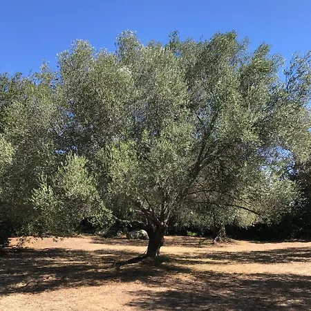 بيت للعطل Alta Rocca *