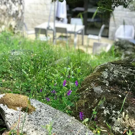 بيت للعطل Alta Rocca