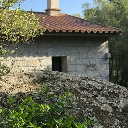 Alta Rocca بيت للعطل بورتو فيكشْيو
